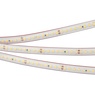 Лента светодиодная RTW 2-5000PS 24V Day5000 2x (2835, 160 LED/m, LUX) (Arlight, 12 Вт/м, IP67)