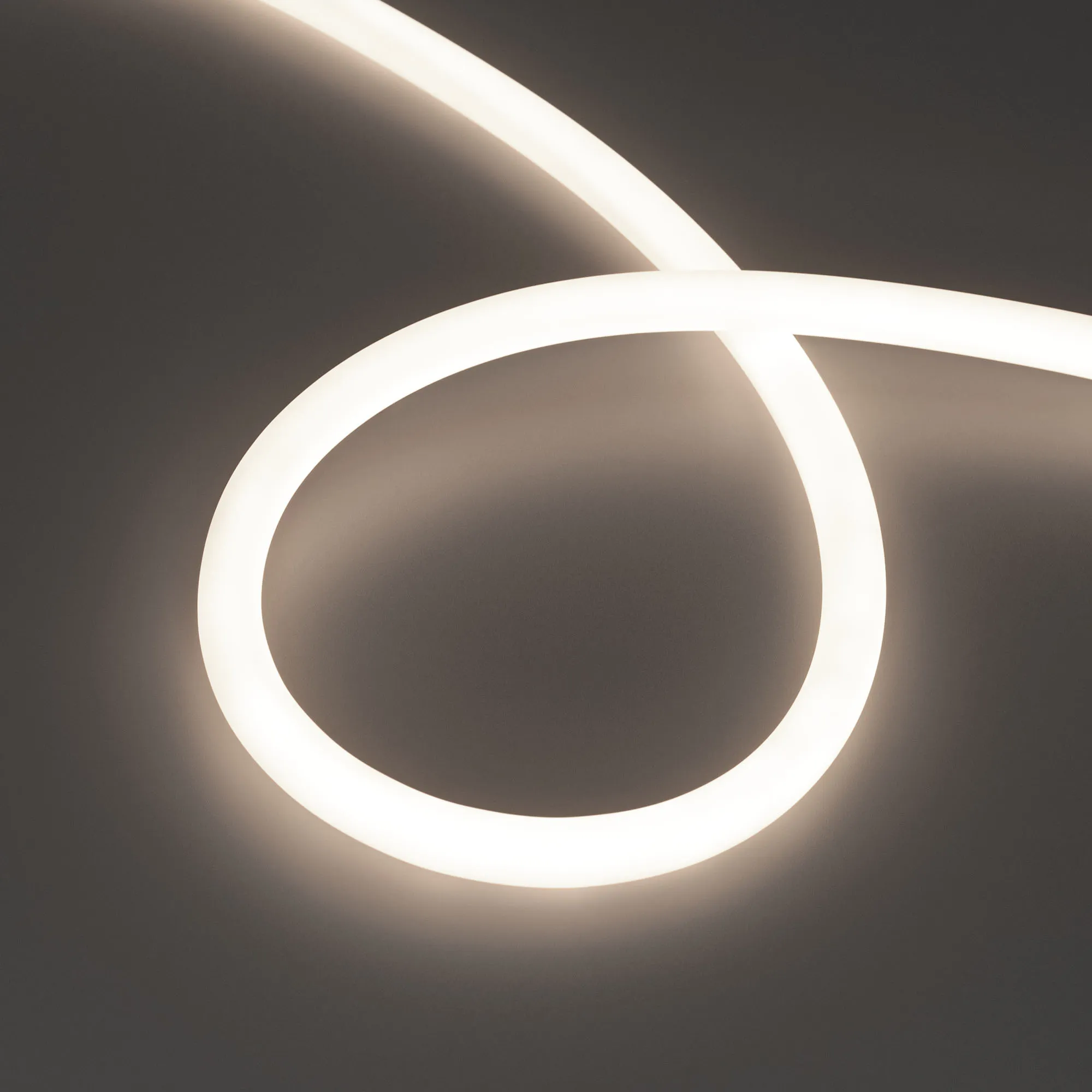 Лента светодиодная герметичная MOONLIGHT-TOP-S-M560-D13mm 48V Day4300 (13 W/m, IP65, 10m, wire x1, трос) (Arlight, Вывод прямой, 3 года)