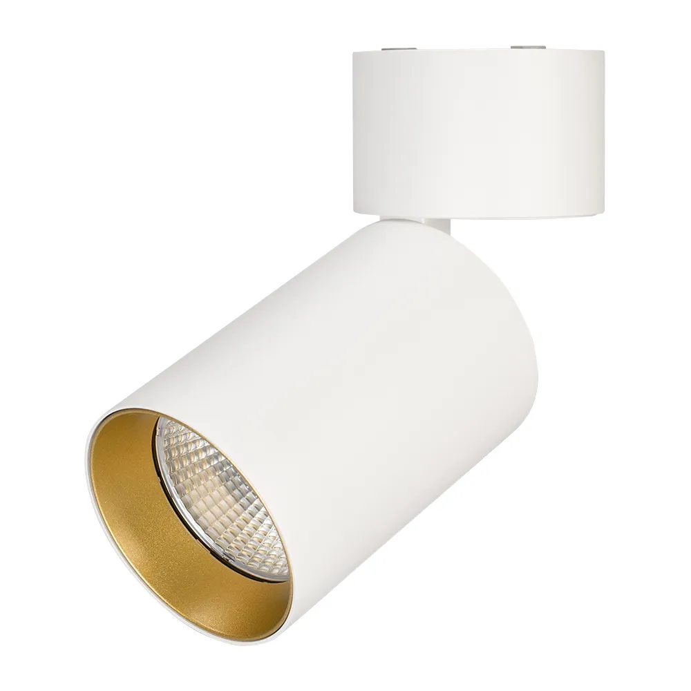 Светильник SP-POLO-SURFACE-FLAP-R85-15W Day4000 (WH-GD, 40 deg) (Arlight, IP20 Металл, 3 года)