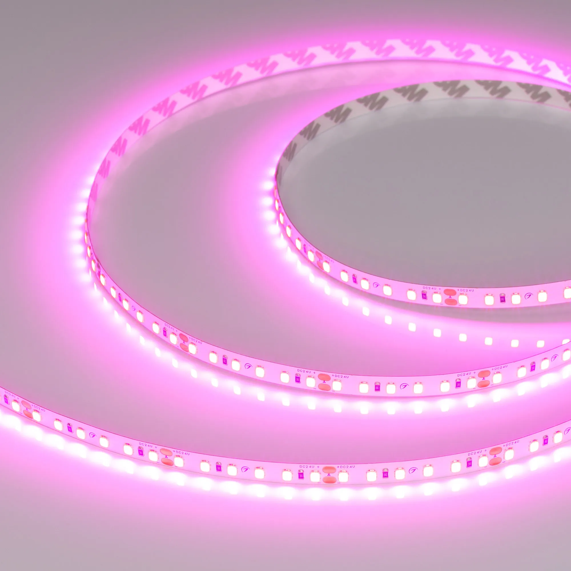 Лента светодиодная RT-A120-8mm 24V Magenta (9.6 W/m, IP20, 2835, 5m) (Arlight, -) - изображение товара
